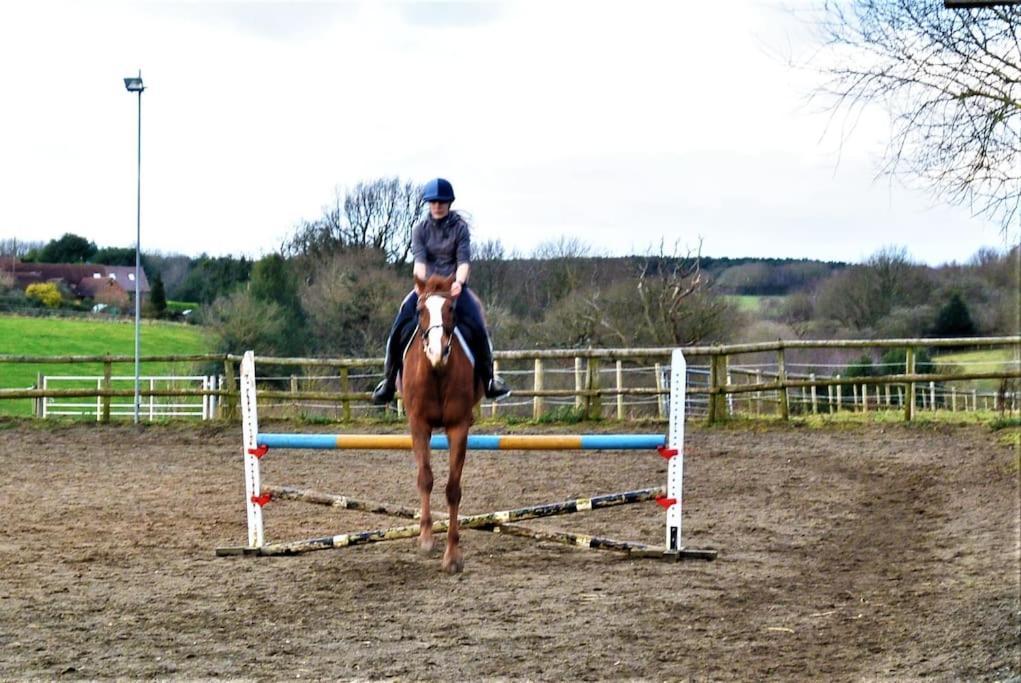コヴェントリーHillfields Farm Barn - A Rural Equestrian Escapeアパートメント エクステリア 写真